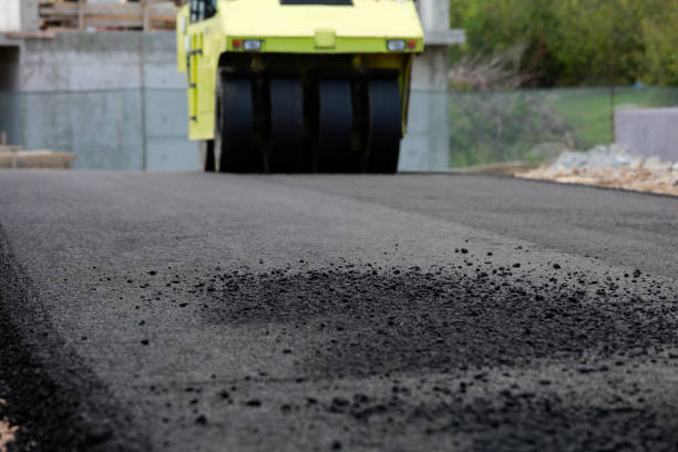 Best Paver Driveway Replacement  in Catawba, SC